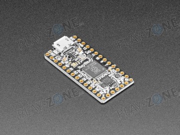 Adafruit ItsyBitsy RP2040