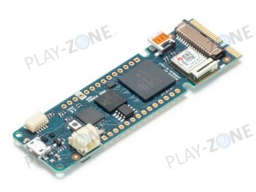 Original Arduino MKR Vidor 4000 mit FPGA