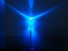 LED Clear / Color: Blue / 3mm